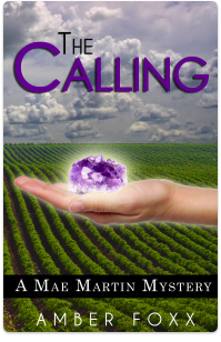 No murders, just mysteries. Love is a mystery. Every person is a mystery. Every life hides a secret. The first Mae Martin psychic mystery Published December, 2013 