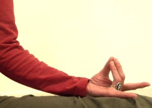 apana mudra